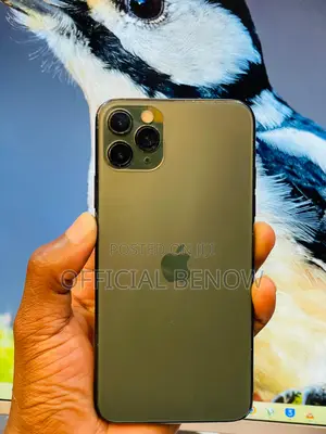 Apple iPhone 11 Pro Max 256 GB Green
