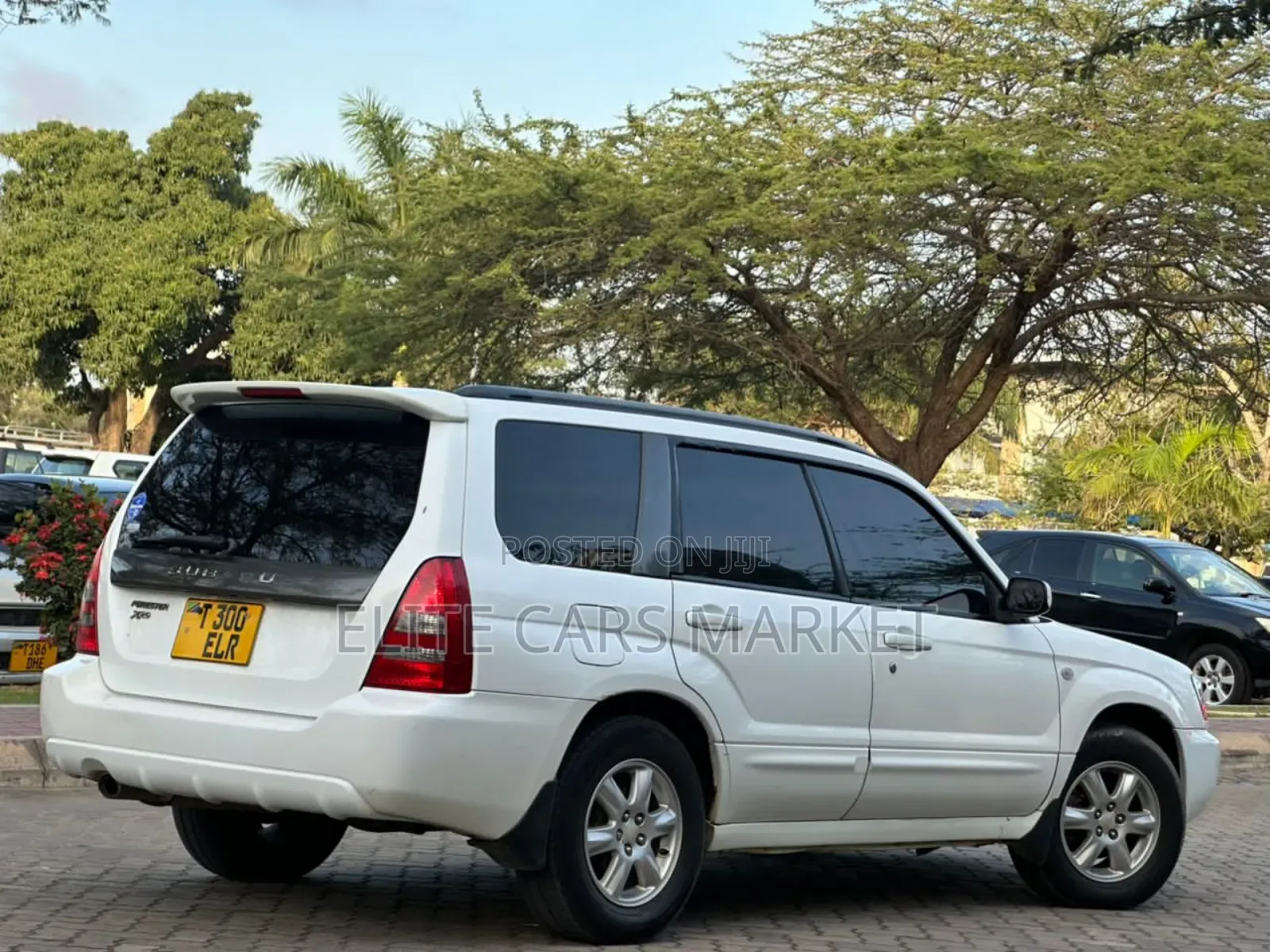 Subaru Forester 2005 White