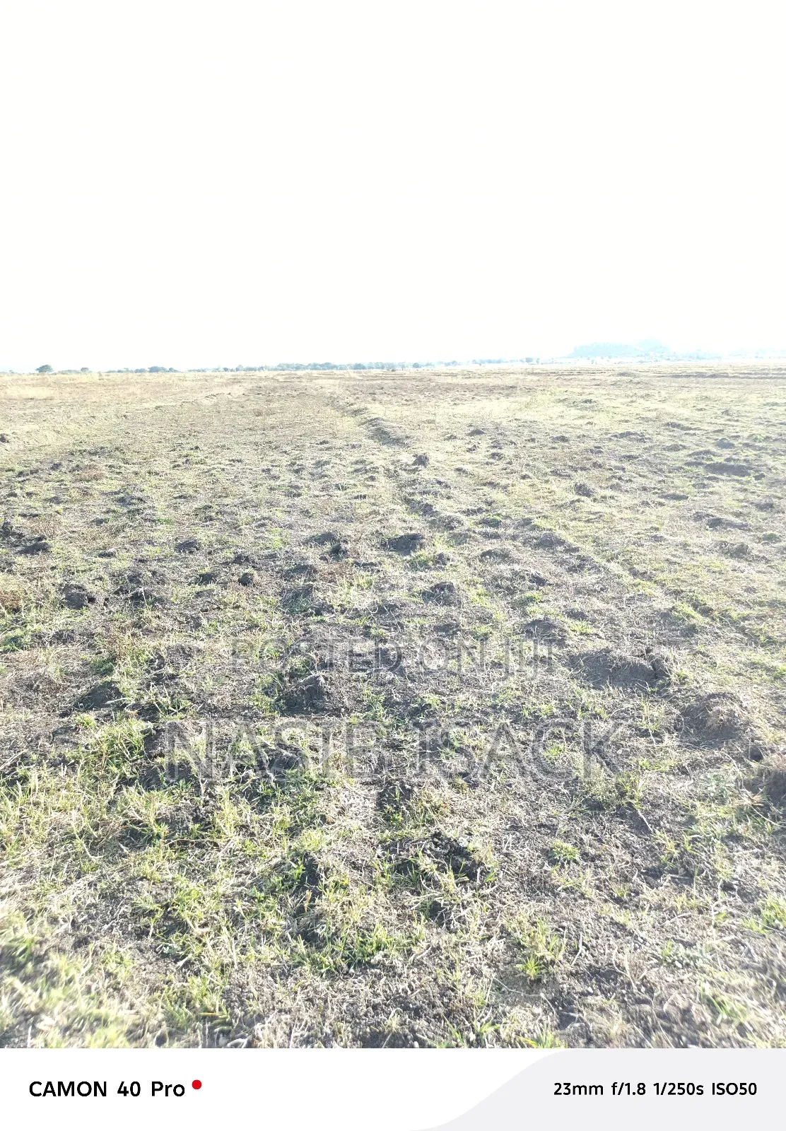 Plot/ Farm for Sale