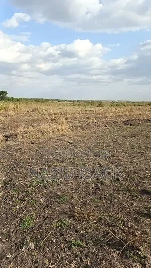 Plot/ Farm for Sale