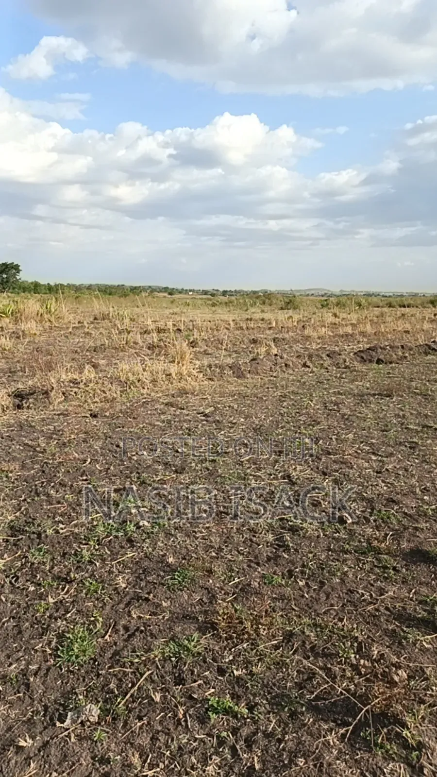 Plot/ Farm for Sale