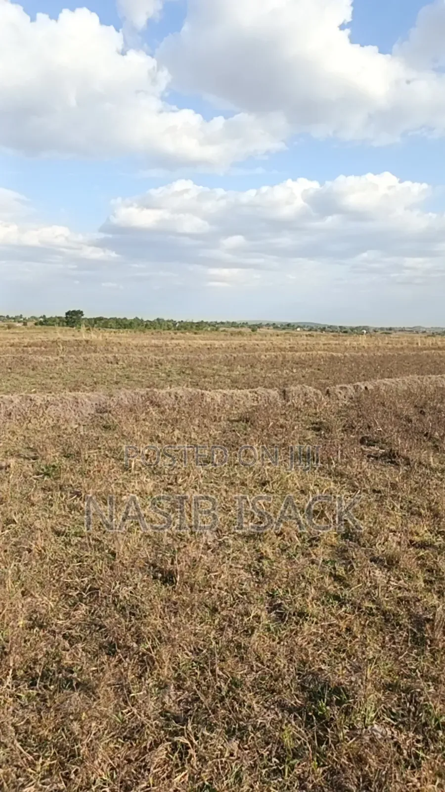 Plot/ Farm for Sale