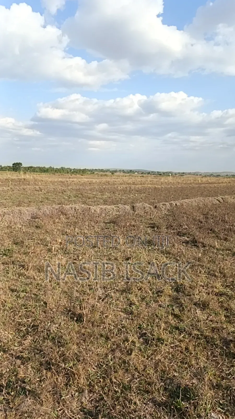 Plot/ Farm for Sale