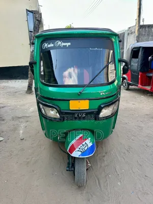 Bajaj 2024 Green