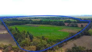 1137 Acres Farm Land for Sale at Arusha