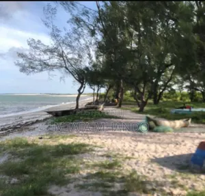 Plot Beach