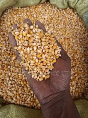 Mahindi Ya Njano Ya Bisi (Pop Corns)