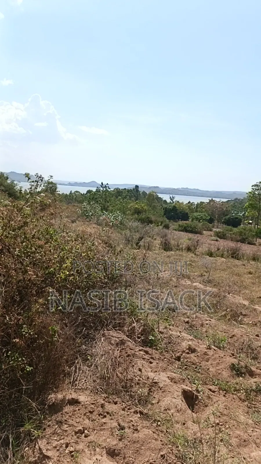 Plot for Sale Square Meter3400