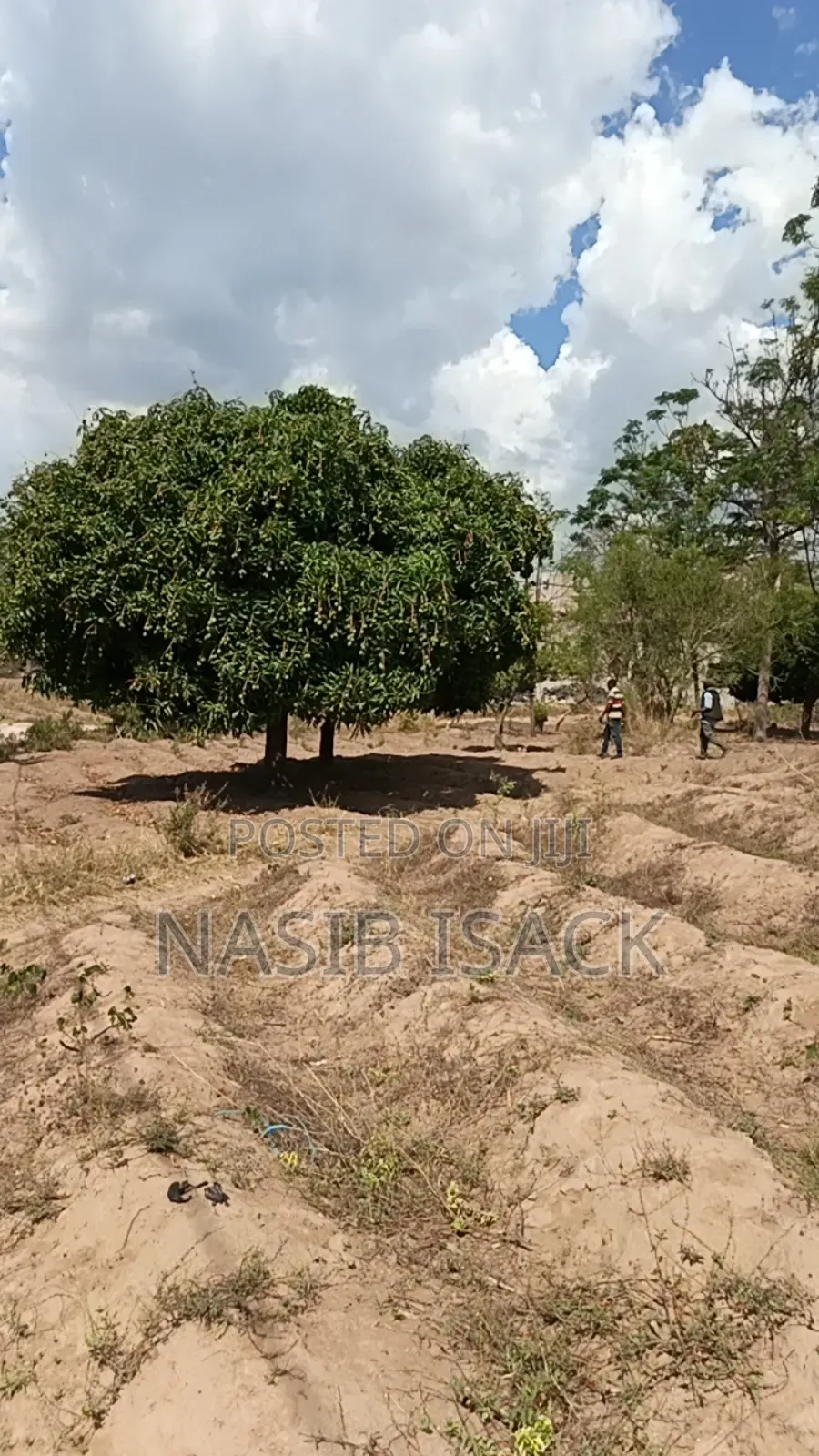 Plot for Sale Square Meter3400