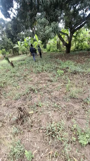Plot Sale at Kibamba Shule Big Space
