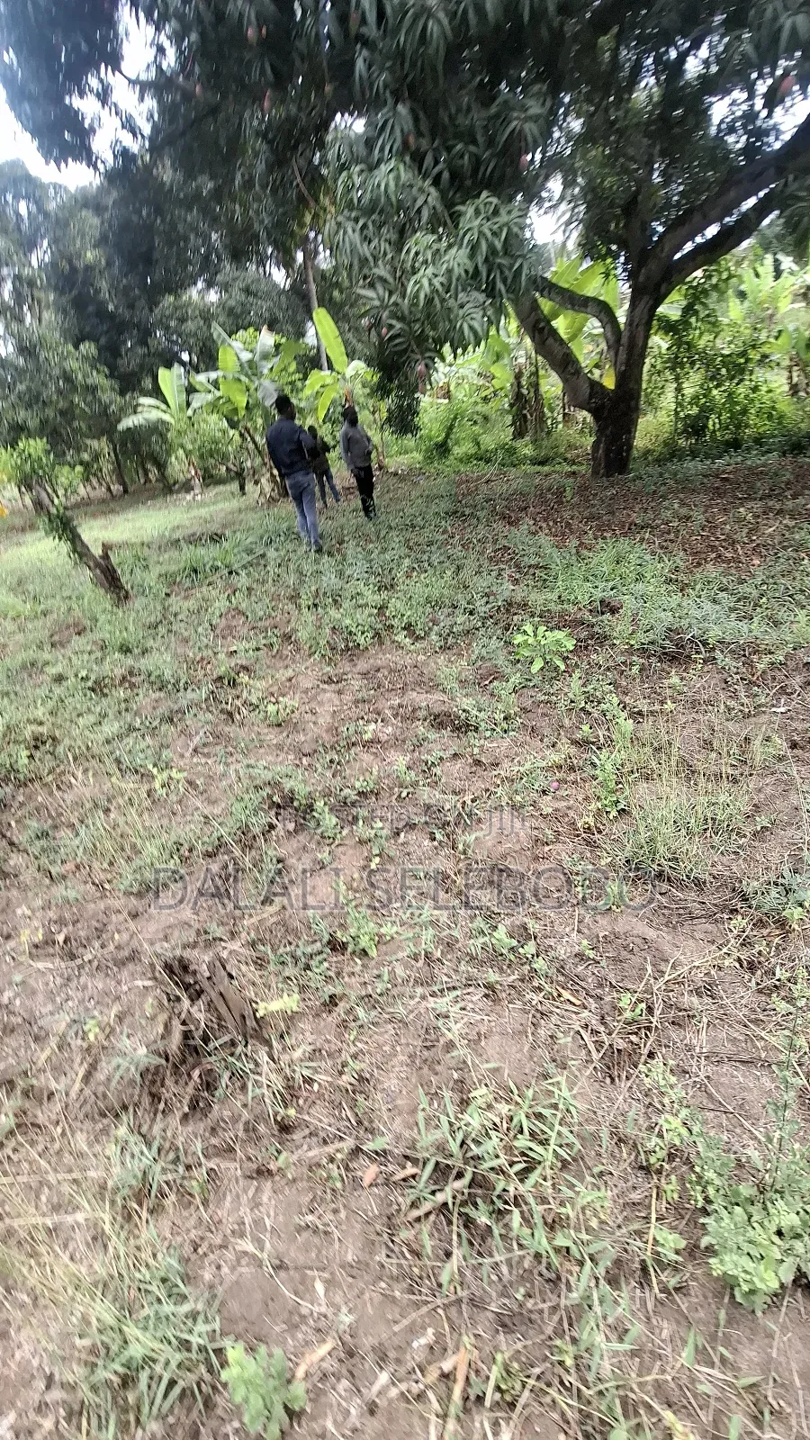 Plot Sale at Kibamba Shule Big Space