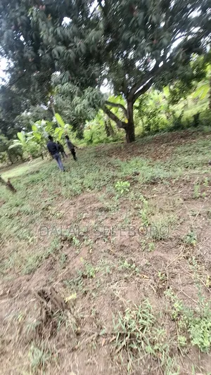 Plot Sale at Kibamba Shule Big Space