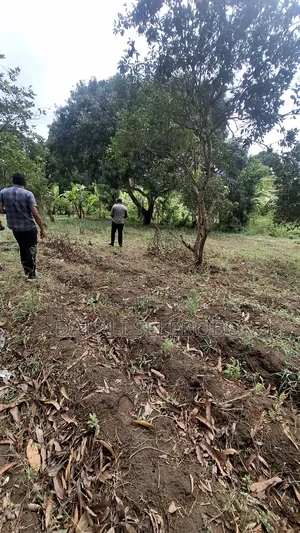Plot Sale at Kibamba Shule Big Space