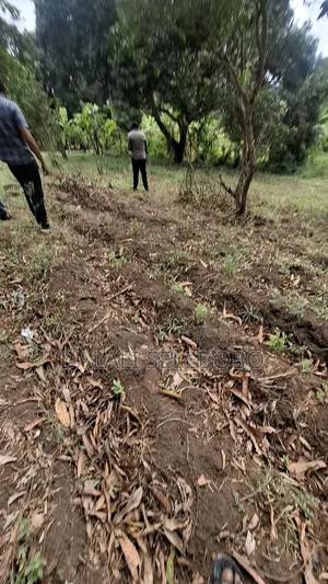 Plot Sale at Kibamba Shule Big Space