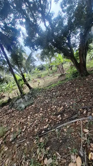 Plot Sale at Kibamba Shule Big Space