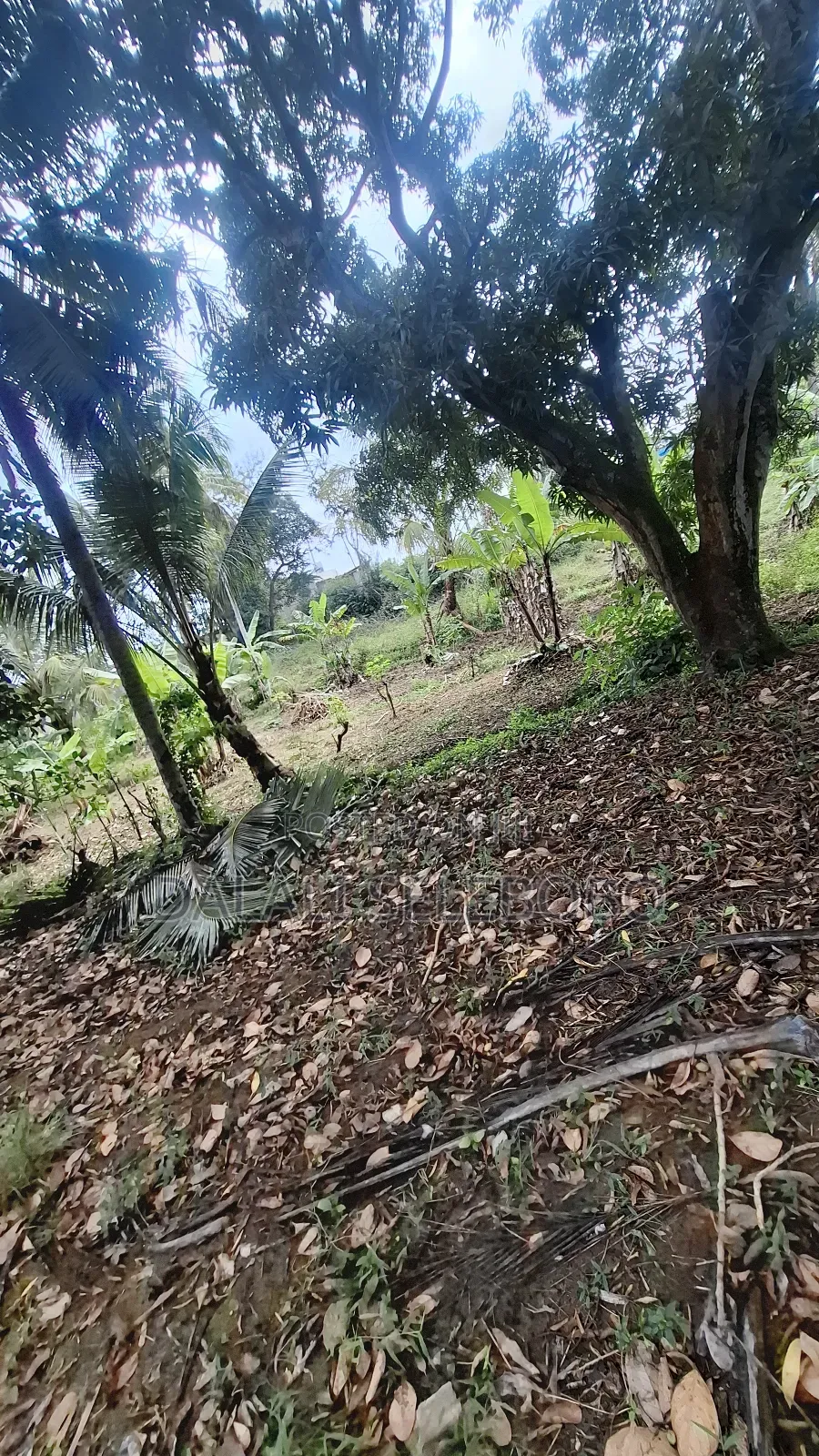 Plot Sale at Kibamba Shule Big Space
