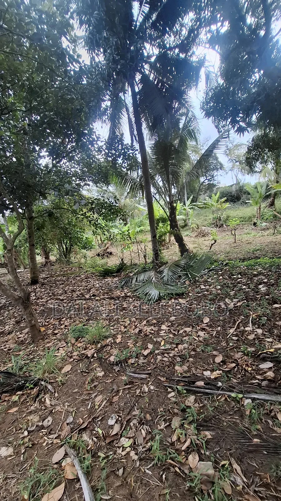 Plot Sale at Kibamba Shule Big Space