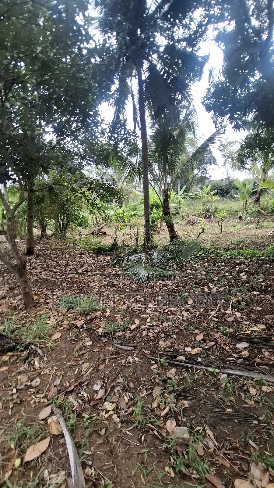 Plot Sale at Kibamba Shule Big Space