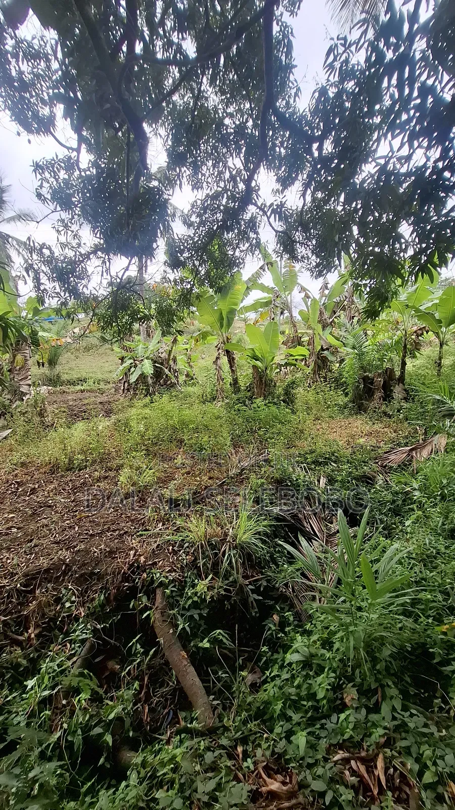 Plot Sale at Kibamba Shule Big Space