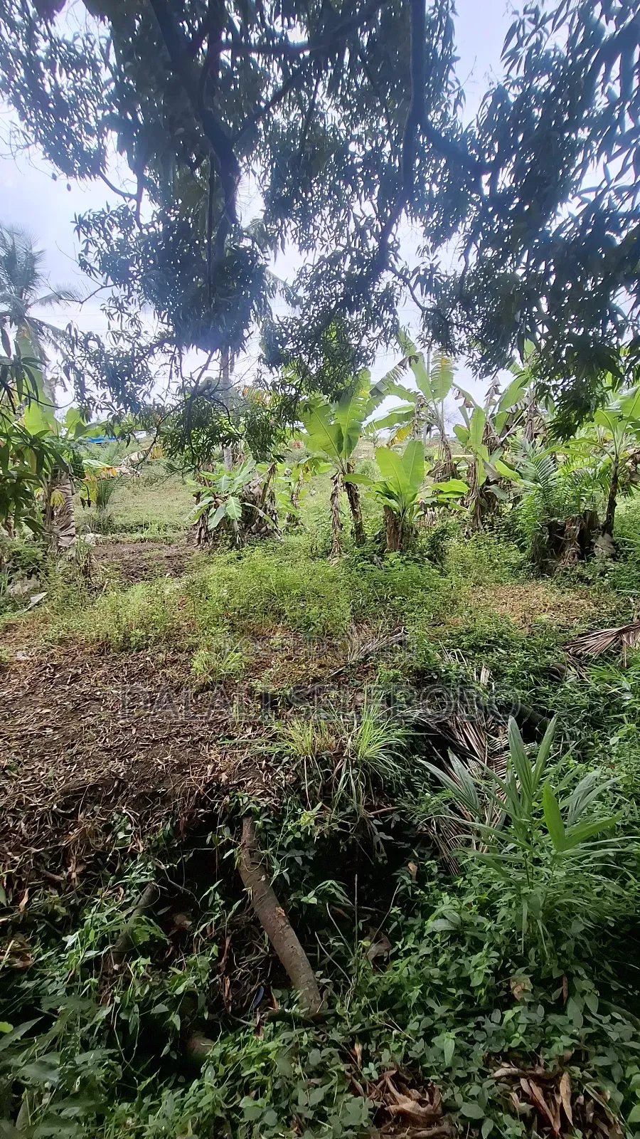 Plot Sale at Kibamba Shule Big Space