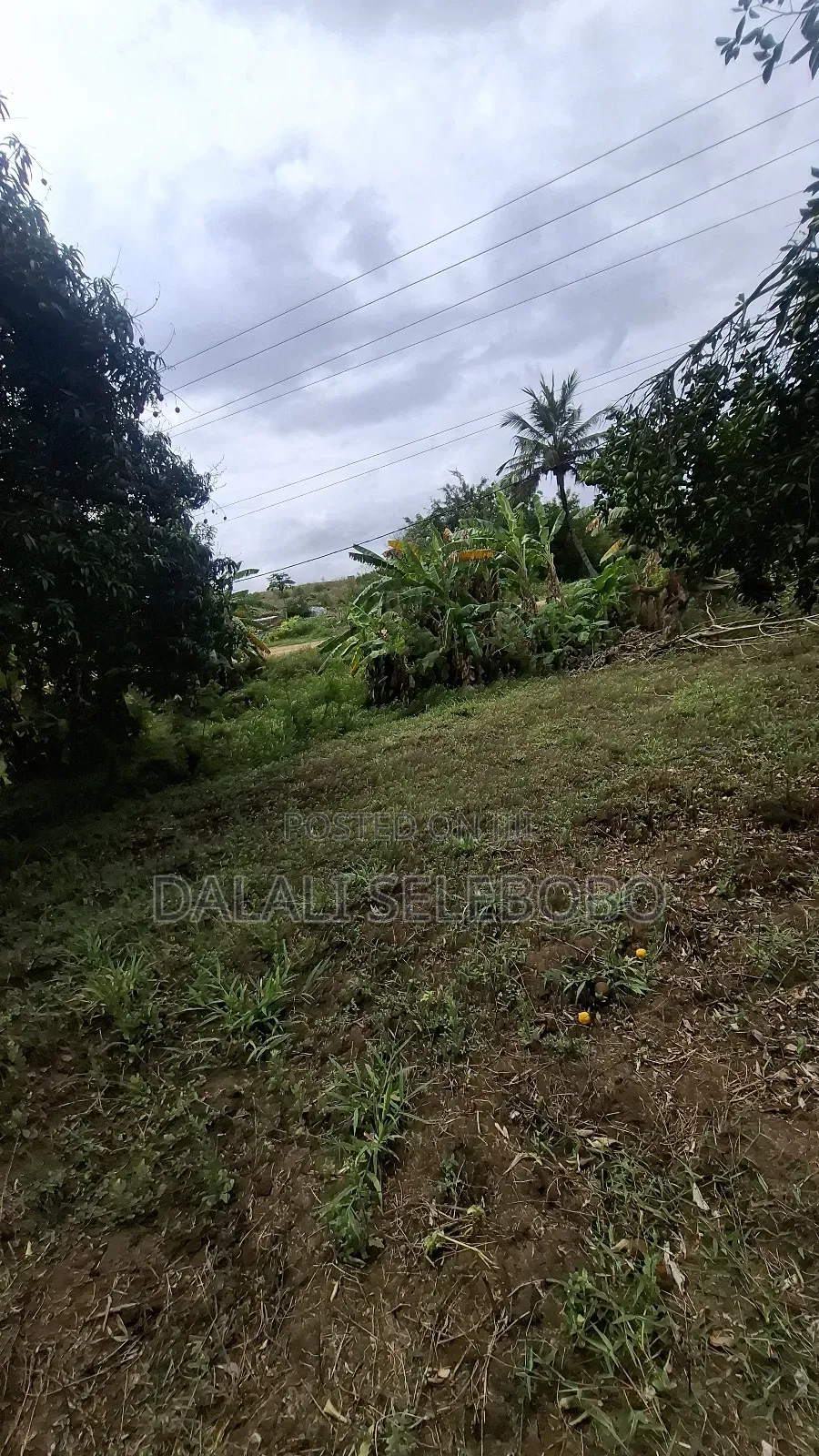Plot Sale at Kibamba Shule Big Space
