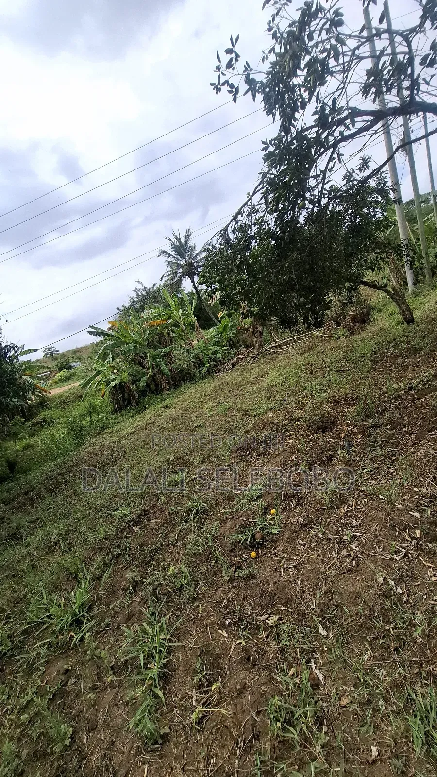 Plot Sale at Kibamba Shule Big Space
