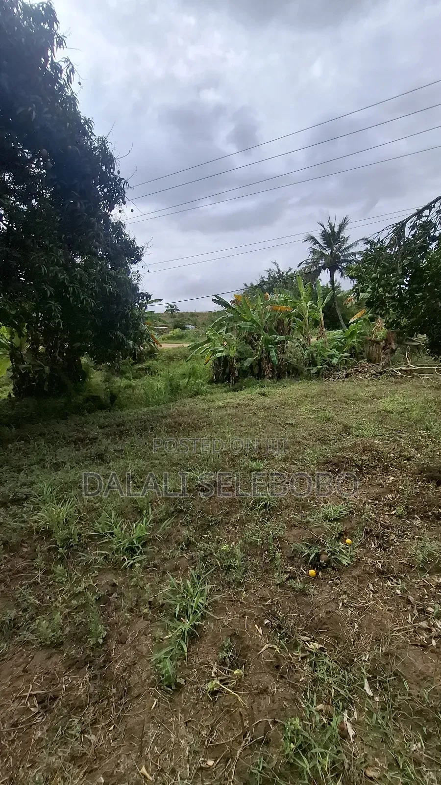 Plot Sale at Kibamba Shule Big Space
