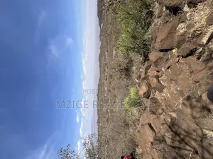 For Sale: Prime 8-Acres Plot With Breathtaking Lake Manyara Views