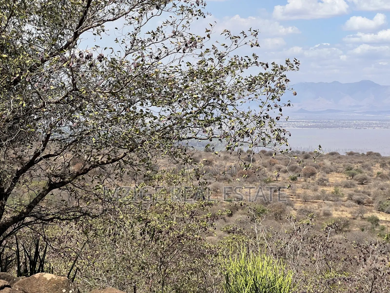 For Sale: Prime 8-Acres Plot With Breathtaking Lake Manyara Views