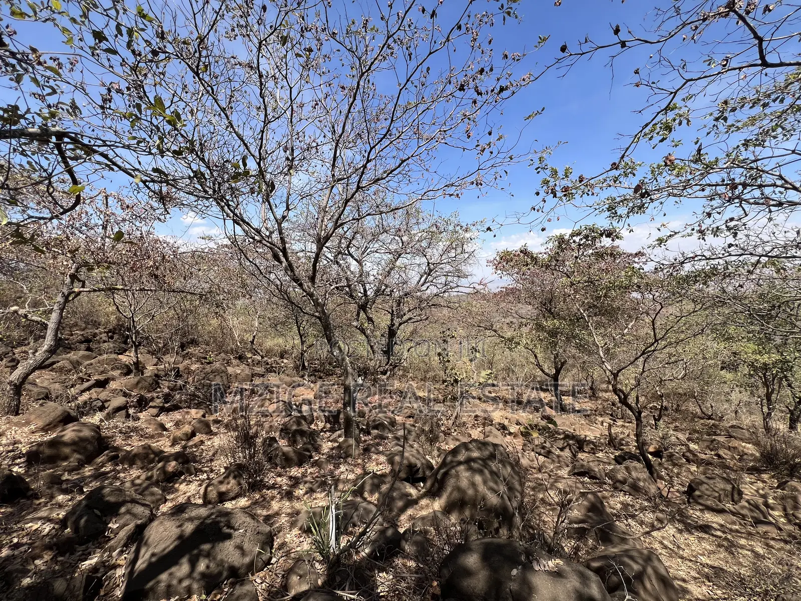 For Sale: Prime 8-Acres Plot With Breathtaking Lake Manyara Views