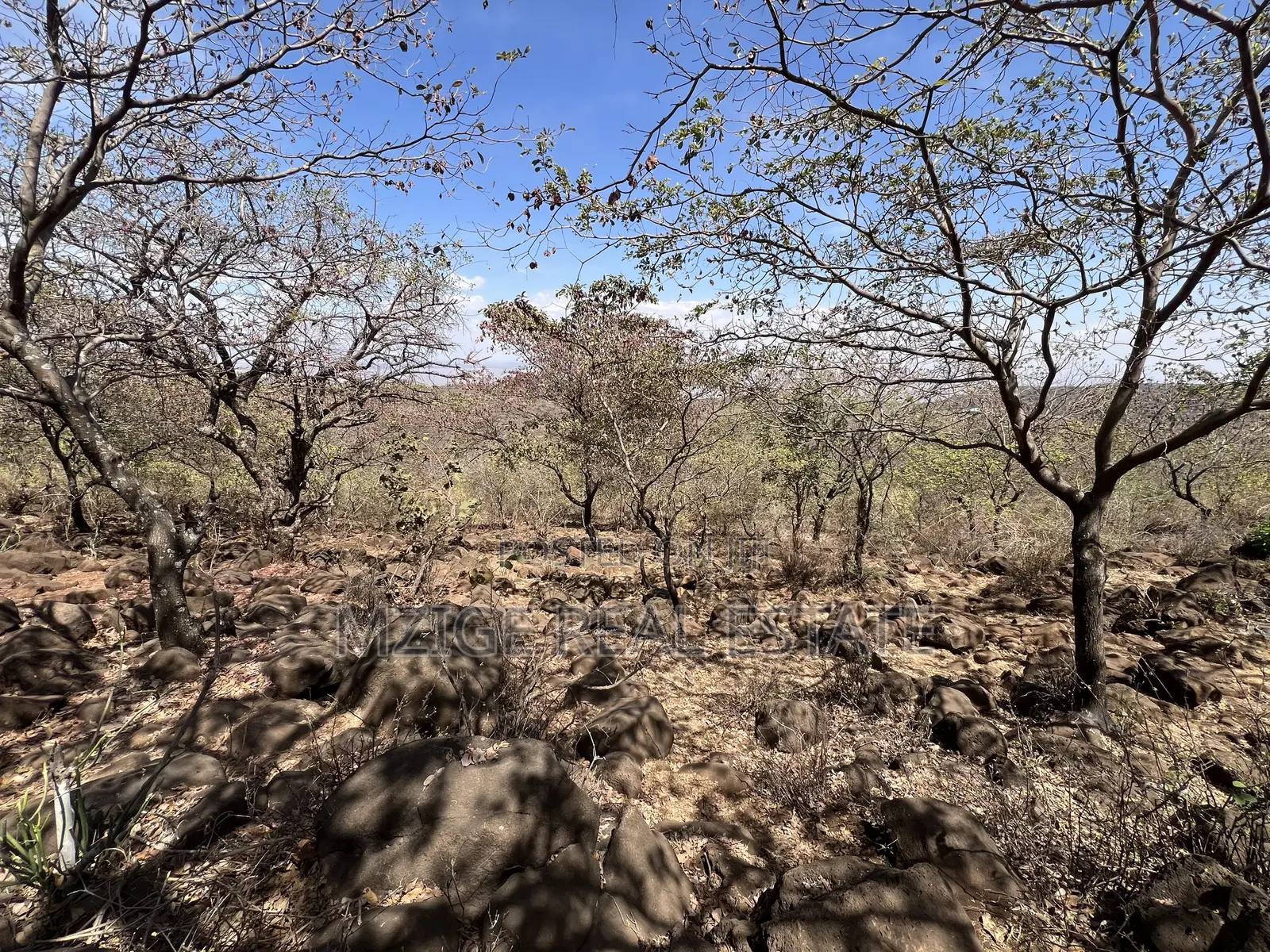 For Sale: Prime 8-Acres Plot With Breathtaking Lake Manyara Views