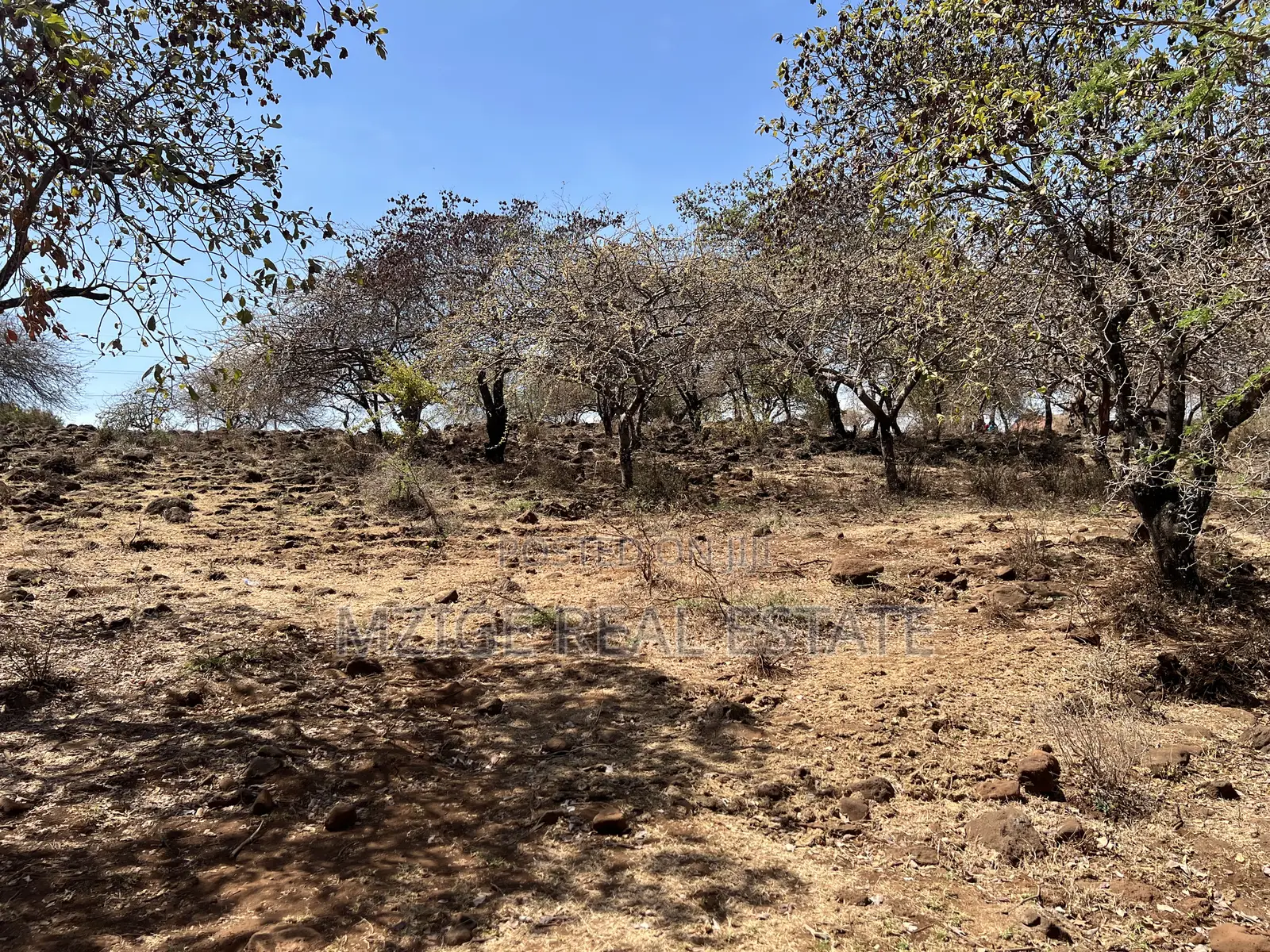 For Sale: Prime 8-Acres Plot With Breathtaking Lake Manyara Views