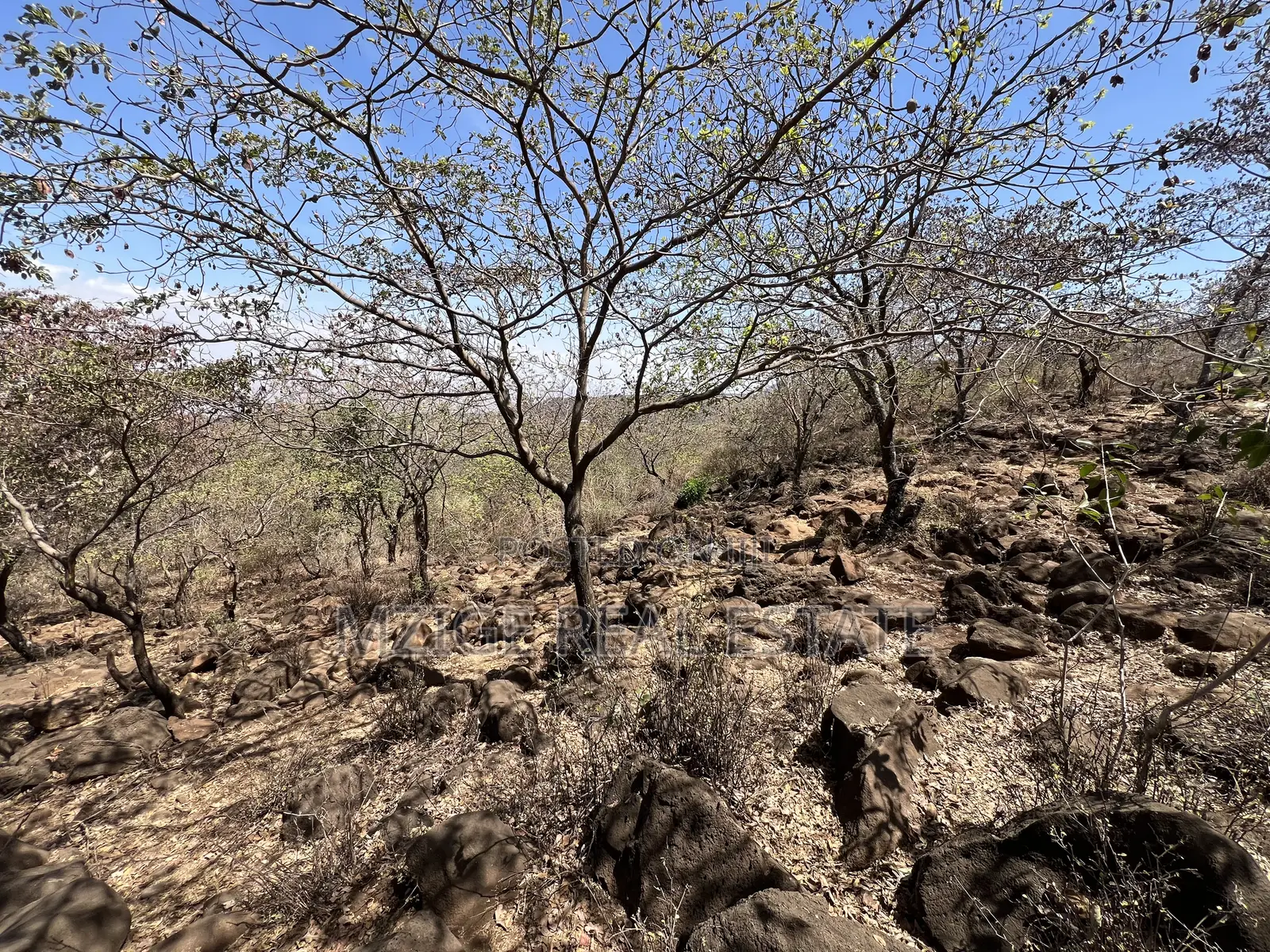 For Sale: Prime 8-Acres Plot With Breathtaking Lake Manyara Views