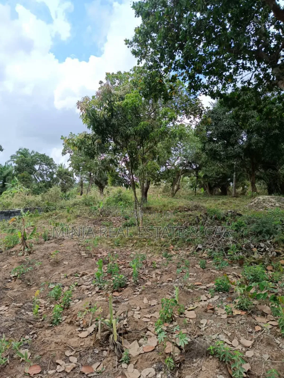 Very Cheap 40 Acres Plot for Sale Mkuranga Mwanambaya Kwa Mwinyi
