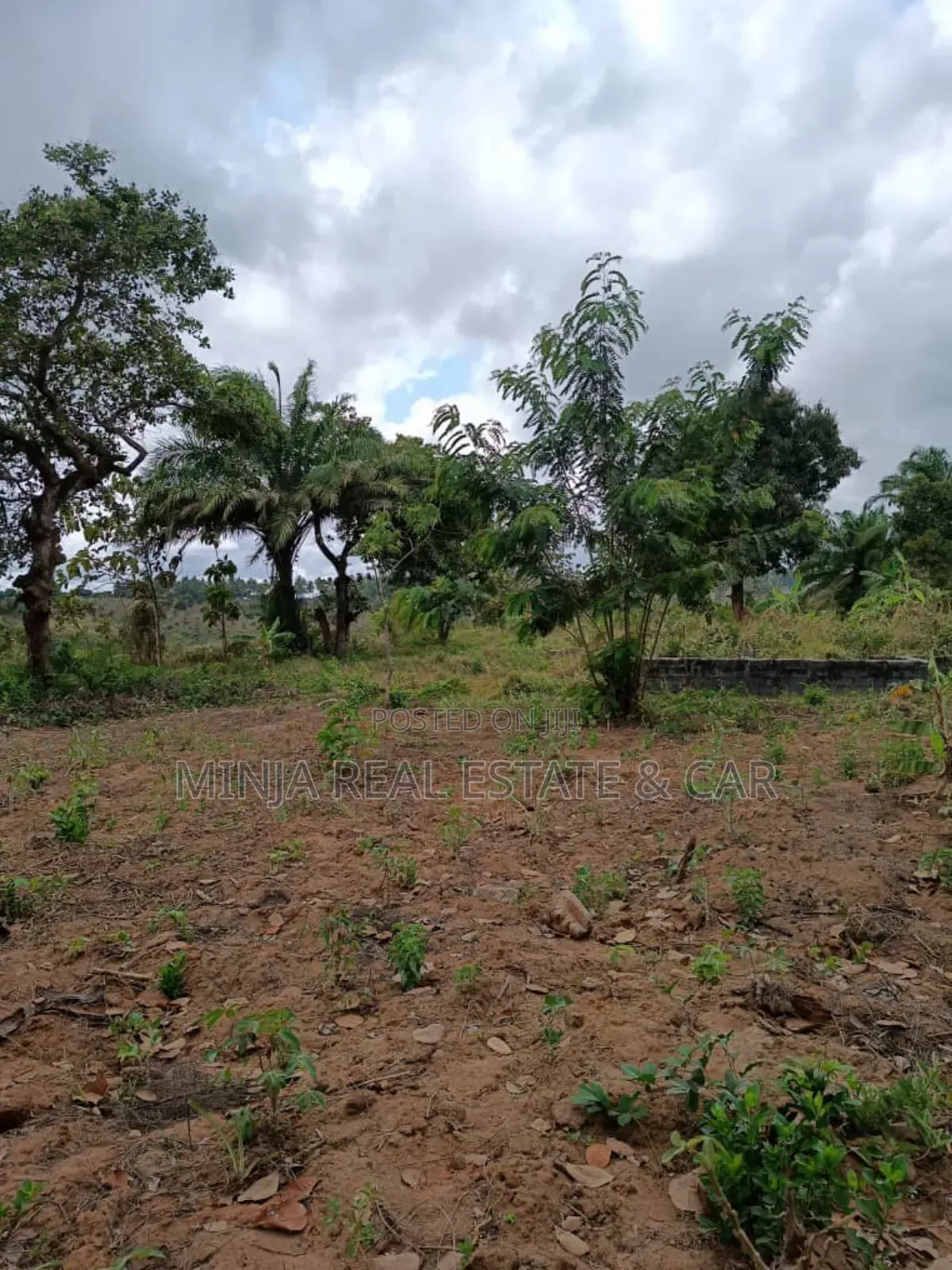 Very Cheap 40 Acres Plot for Sale Mkuranga Mwanambaya Kwa Mwinyi