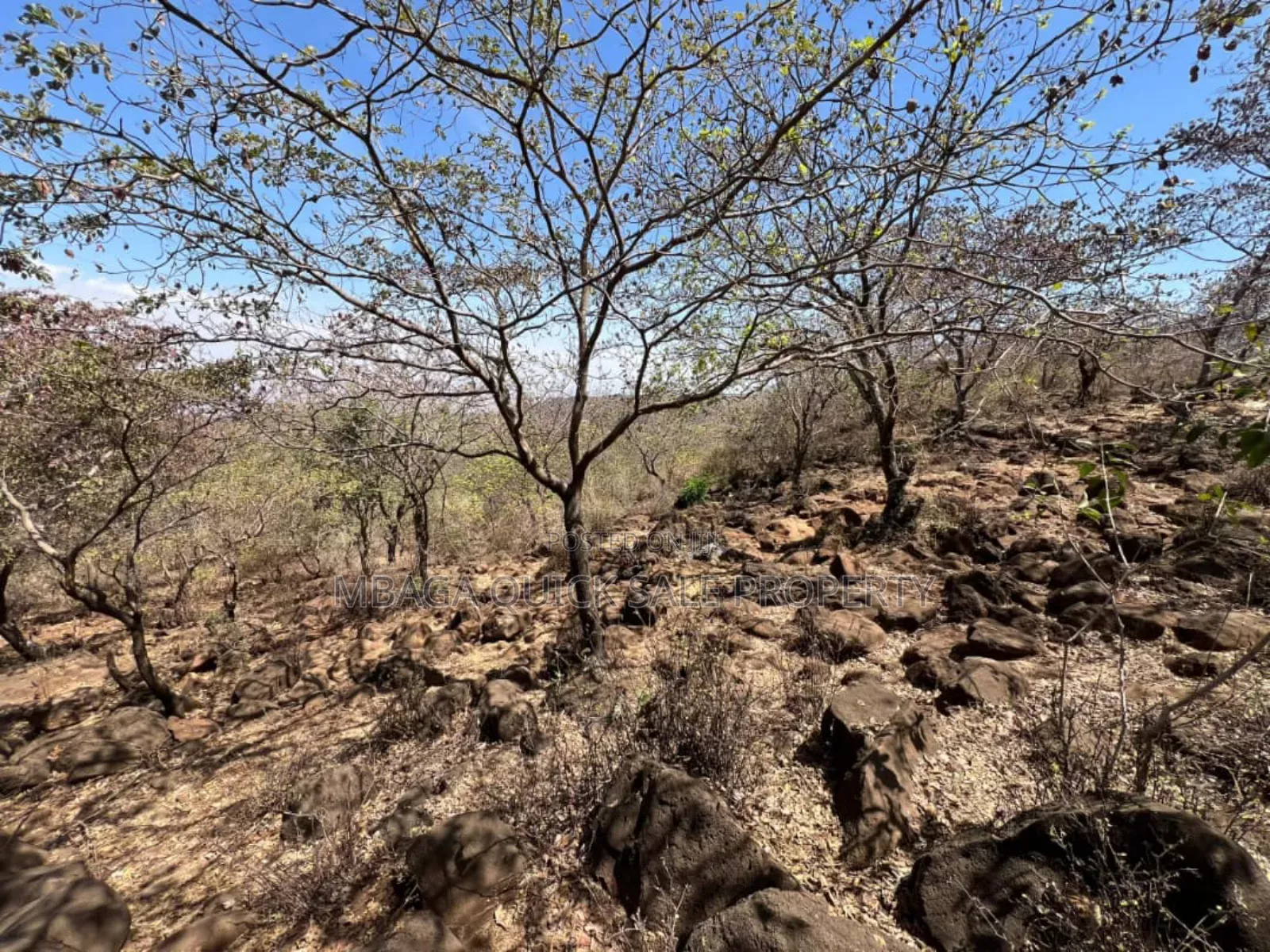 Lake View Plot for Sale at Manyara