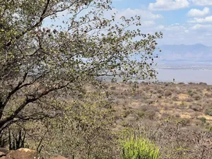 Lake View Plot for Sale at Manyara