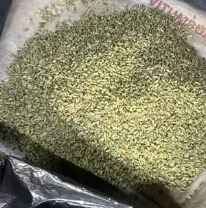 Green Cardamom (Iliki Safi )