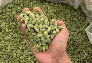 Green Cardamom (Iliki Safi )