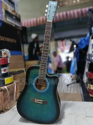 Acoustic Guitar Electric