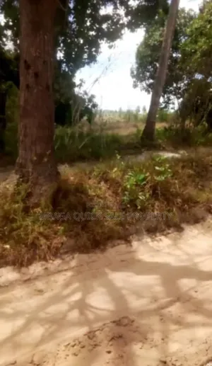 Plot With 29 Acres for Sale at Mwanambaya