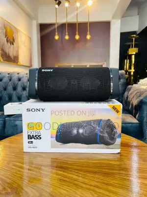 Sony SRS-Xb33 Extra Bass