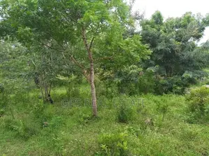 Kiwanja Kiwanja Kinauzwa