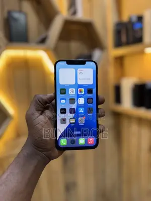 Apple iPhone 12 Pro Max 128 GB Gray