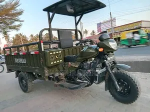 Bajaj Avenger 200 2025 Gray