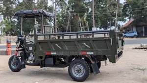 Bajaj Avenger 220 Cruise 2025 Green