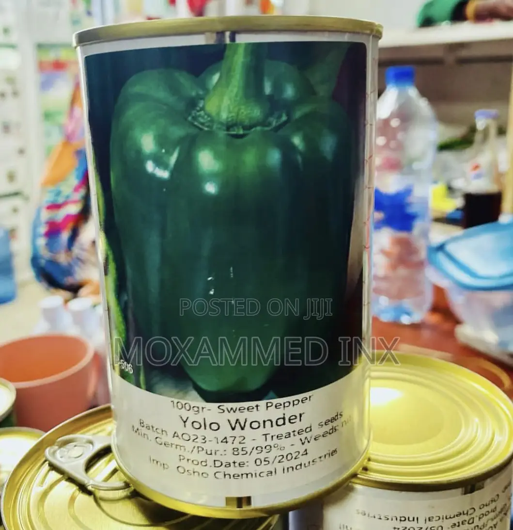 Yolo Wonder 100gr