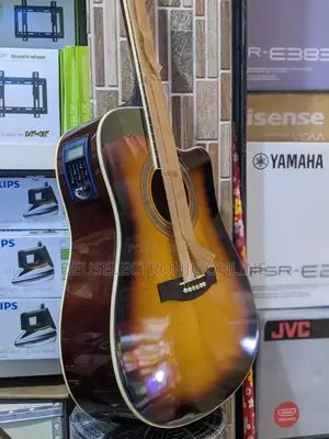 Acoustic Guitar Electric