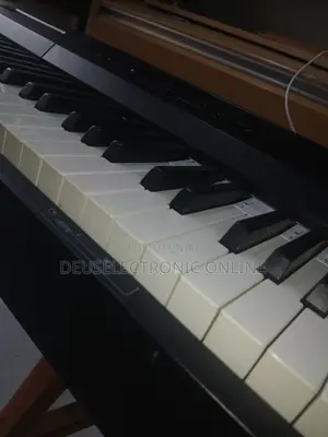 Electric Keyboards 88key Studio