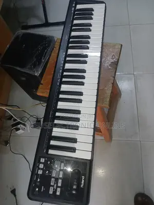 Electric Midi Keyboard Controller Roland